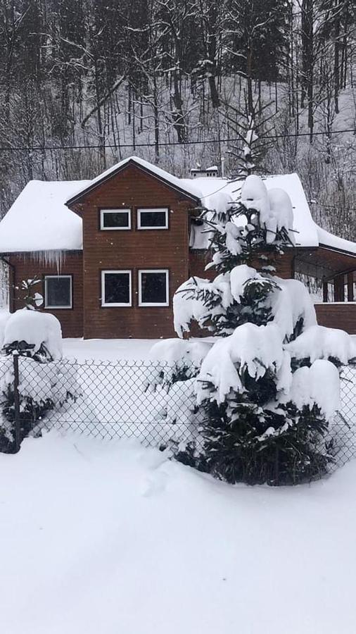 Vila Bieszczadzki Klin Bklin Cisna Exteriér fotografie