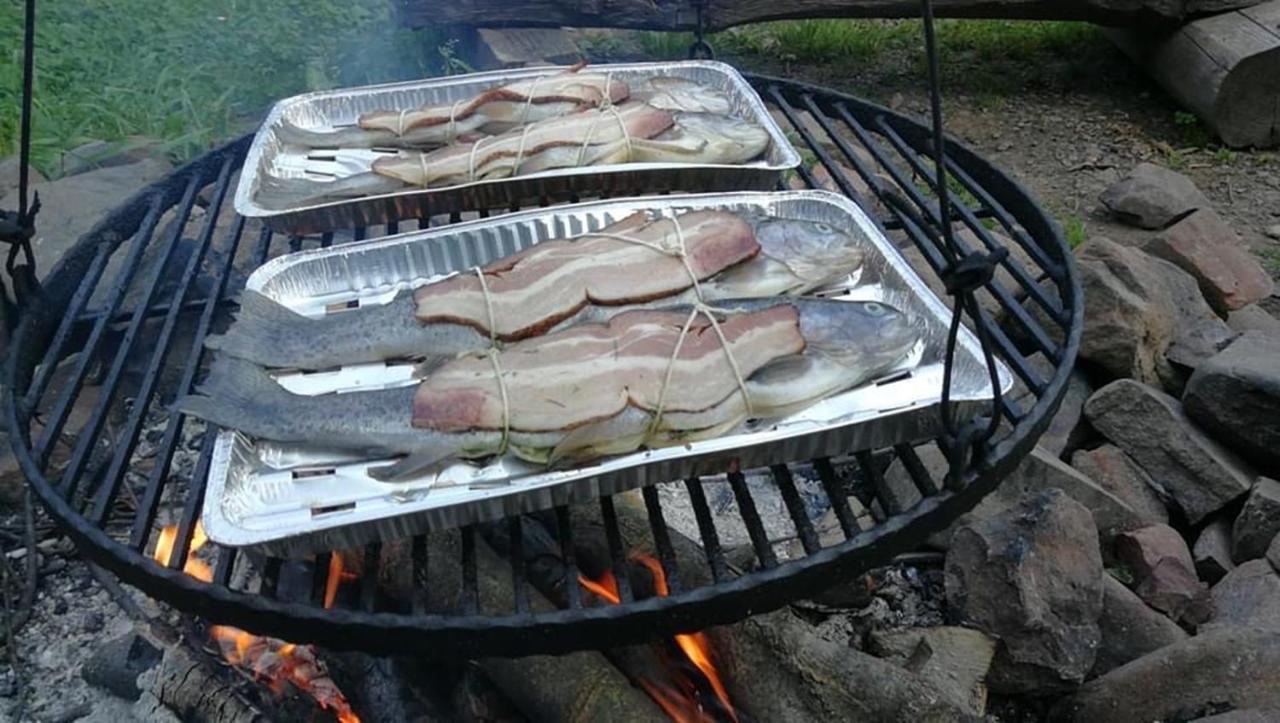 Vila Bieszczadzki Klin Bklin Cisna Exteriér fotografie
