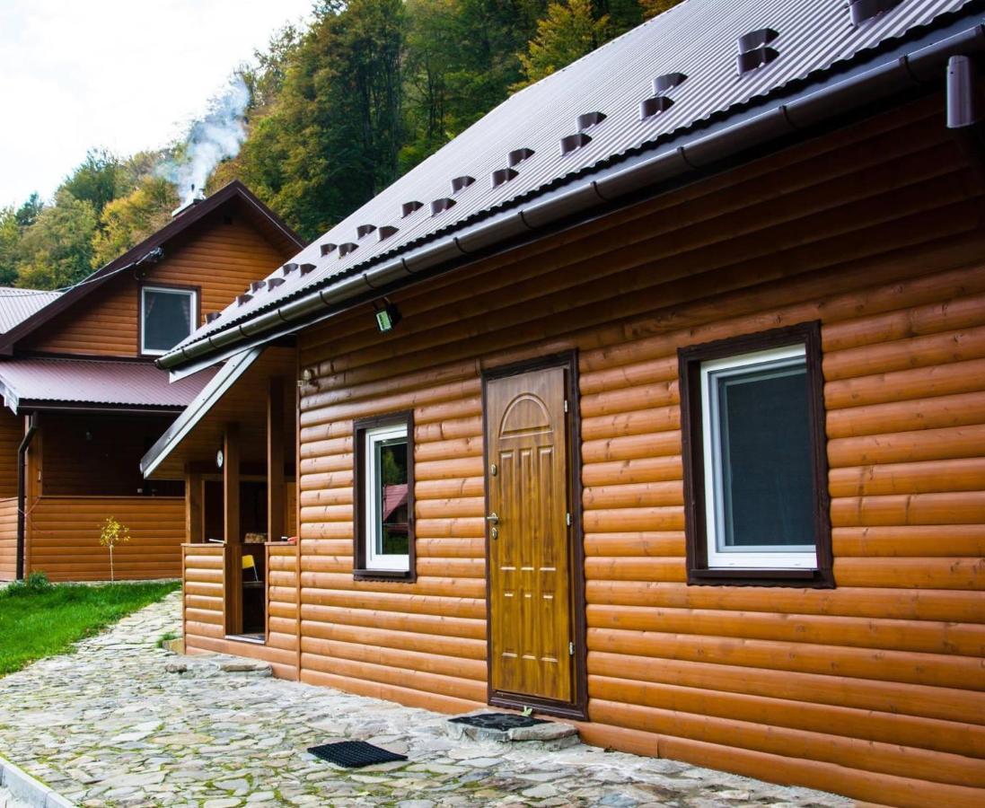 Vila Bieszczadzki Klin Bklin Cisna Exteriér fotografie