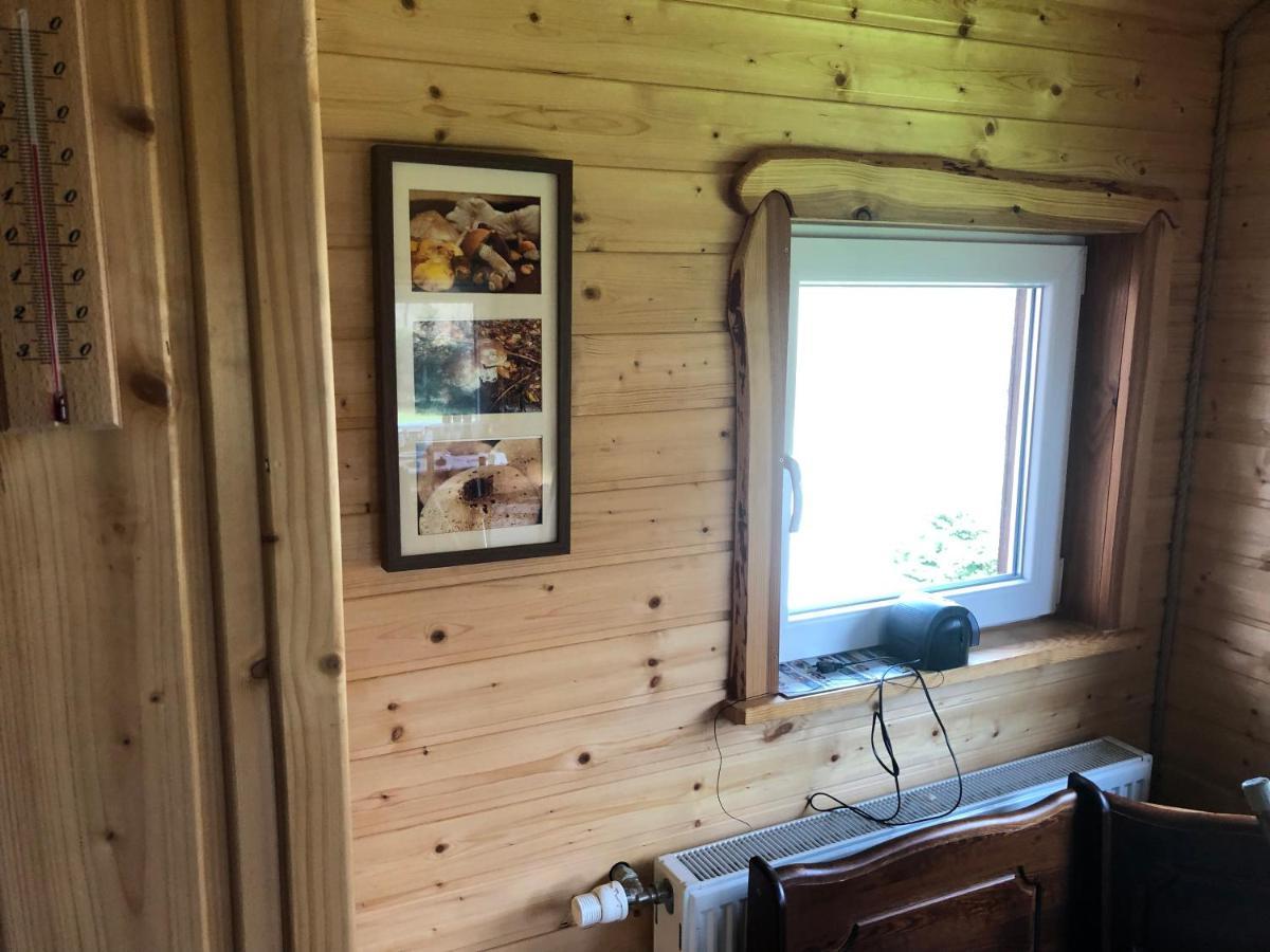 Vila Bieszczadzki Klin Bklin Cisna Exteriér fotografie