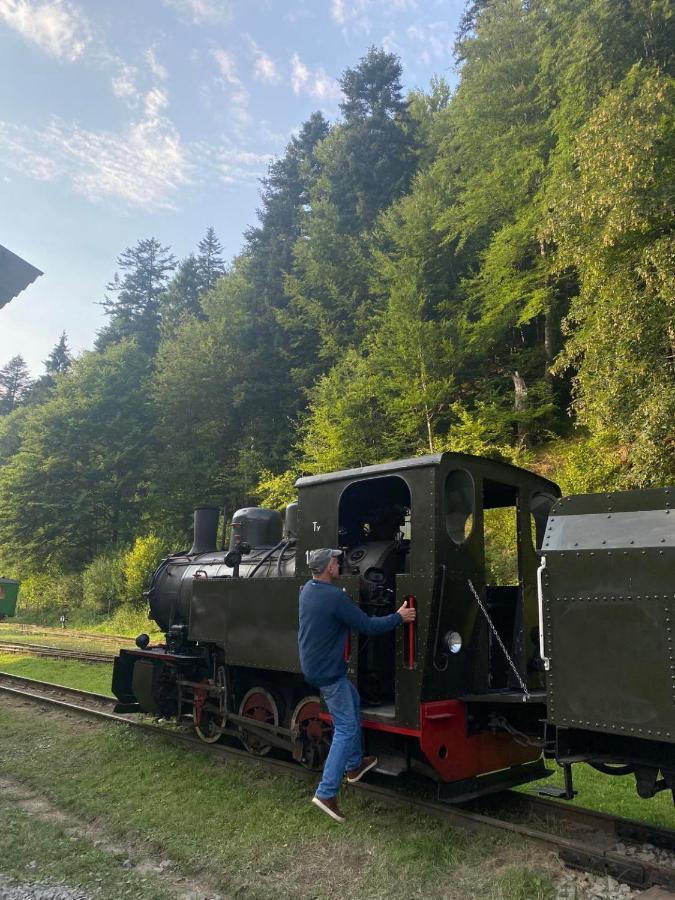 Vila Bieszczadzki Klin Bklin Cisna Exteriér fotografie