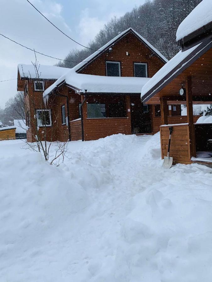 Vila Bieszczadzki Klin Bklin Cisna Exteriér fotografie