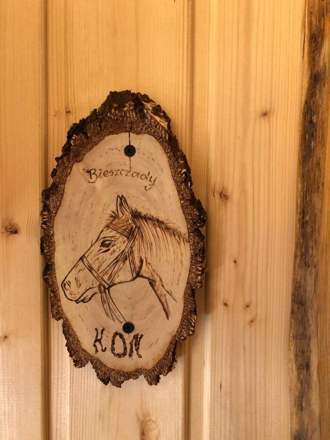 Vila Bieszczadzki Klin Bklin Cisna Pokoj fotografie